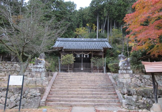 「相撲桟敷」がある神社