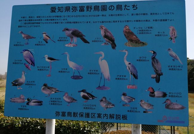 愛知県弥富野鳥園 クチコミ アクセス 営業時間 津島 愛西 蟹江 フォートラベル 愛知県弥富野鳥園 クチコミ アクセス 営業時間 津島 愛西 蟹江 フォートラベル