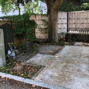 古井戸の中を覗き込める