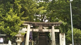 樹齢850年の御神木とイチョウ