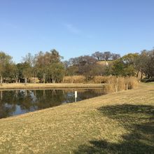 公園と、奥手には古墳も
