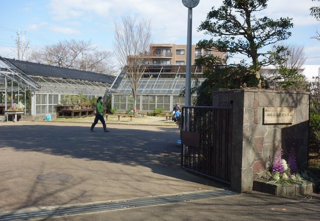 川崎市緑化センター クチコミ アクセス 営業時間 登戸 新百合ヶ丘 フォートラベル