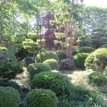庭園があります
