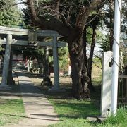 多摩川沿いの神社