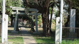多摩川沿いの神社