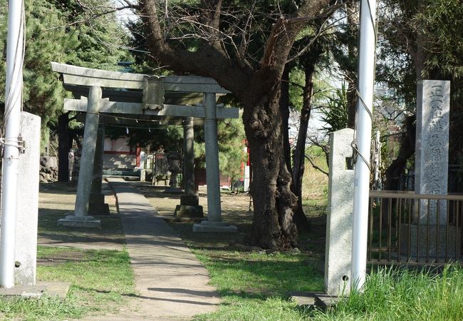 多摩川沿いの神社