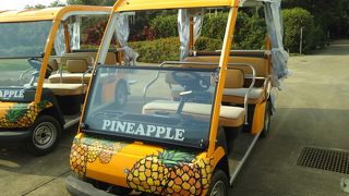カートに乗ってゆったり周遊 （宮古島熱帯果樹園 まいぱり）