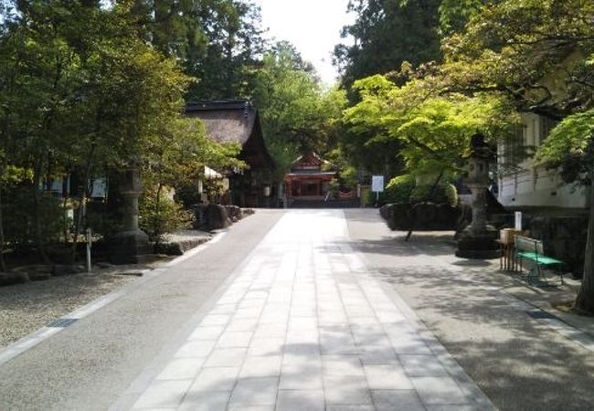 おおきな神社です