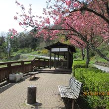 千曲川展望公園