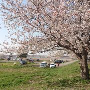 夏に楽しめそうな公園