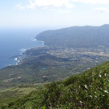 頂上付近からの景色