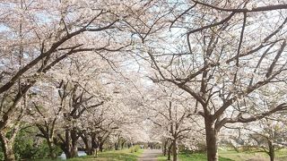 地域の水田に欠かせない
