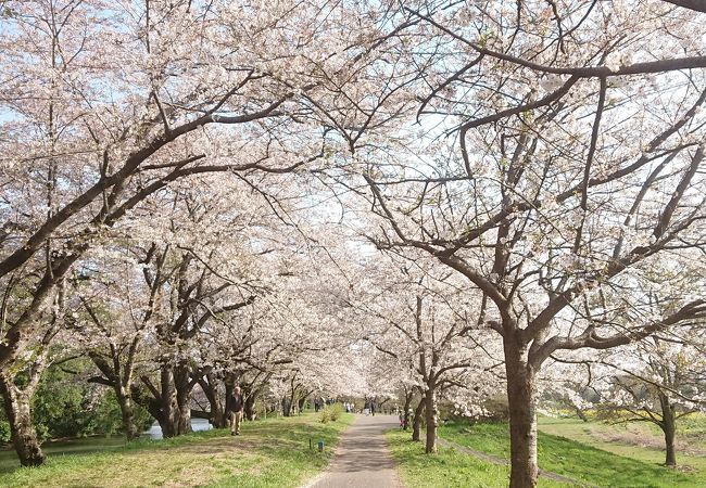 地域の水田に欠かせない