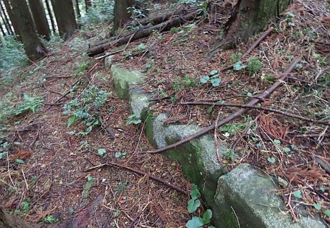 雷山神籠石 クチコミ アクセス 営業時間 糸島市 前原 フォートラベル 雷山神籠石 クチコミ アクセス 営業時間 糸島市 前原 フォートラベル