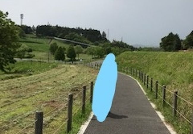 神奈川県立おだわら諏訪の原公園 クチコミ アクセス 営業時間 小田原 フォートラベル