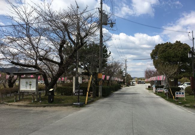 丹波篠山さくらまつり