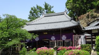 境内からの展望もお薦めです