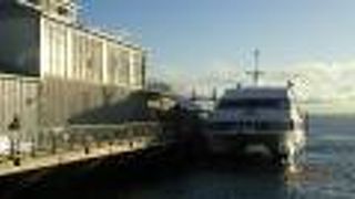 オークランドからデボンポートへはフェリーで行くのが一番早く行けます。