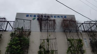 鉢花（観賞用植物）の取引量は日本一