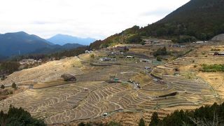 道路の幅は狭い。