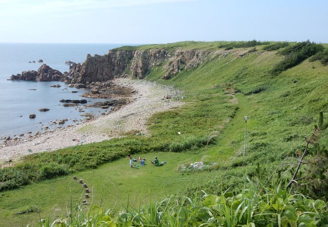 250種類以上の植物が揃う海岸