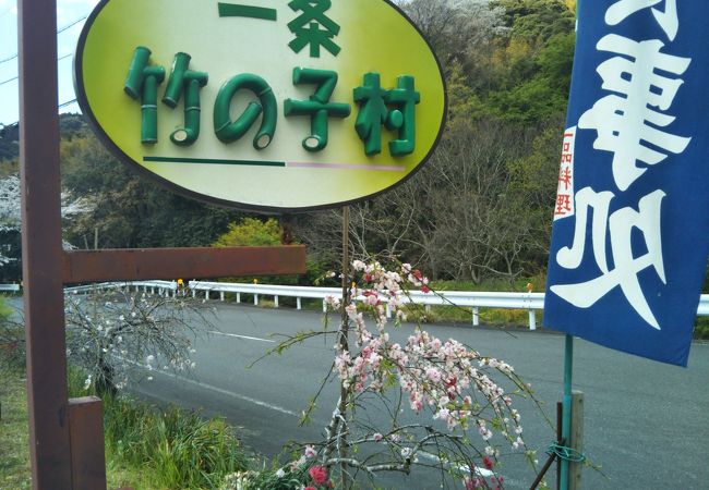 一条竹の子村 クチコミ アクセス 営業時間 南伊豆 フォートラベル 一条竹の子村 クチコミ アクセス 営業時間 南伊豆 フォートラベル