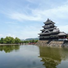 松本城公園の内堀から天守閣を眺める