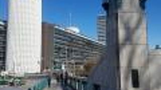 竹で編んだ橋だったから