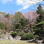 池や日本庭園のある公園