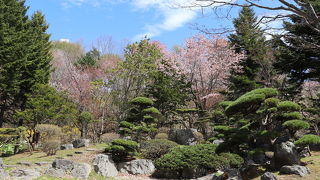 池や日本庭園のある公園