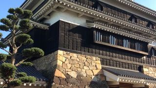 愛知県で桜の隠れ名所