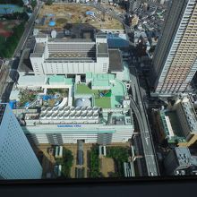 スカイレストラン５９階からサンシャイン水族館ほか