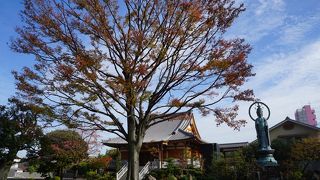 岩淵大観音は三丈三尺