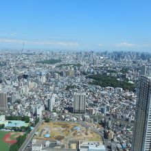 スカイレストラン５９階から風景