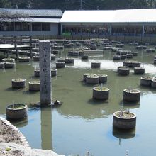 池の中にある句碑