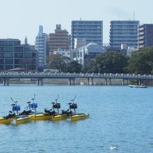 都市のオアシスとはこのこと