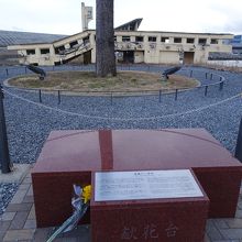 松の木の奥には、陸前高田ユースホステルが・・・