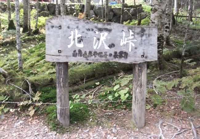 南アルプス林道バス クチコミ アクセス 営業時間 伊那 フォートラベル 南アルプス林道バス クチコミ アクセス 営業時間 伊那 フォートラベル
