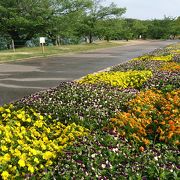 カキツバタの小堤西池とセットで