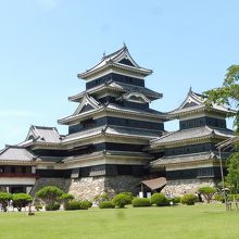 まじかで見ると凄い迫力凄い！