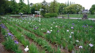 油ケ渕遊園地