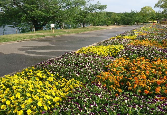 洲原公園 クチコミ アクセス 営業時間 刈谷 知立 フォートラベル 洲原公園 クチコミ アクセス 営業時間 刈谷 知立 フォートラベル