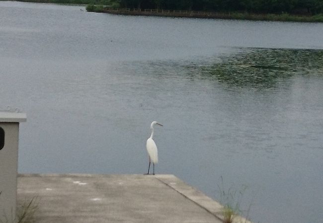 刈谷 知立の自然 景勝地 クチコミ人気ランキング フォートラベル 愛知県