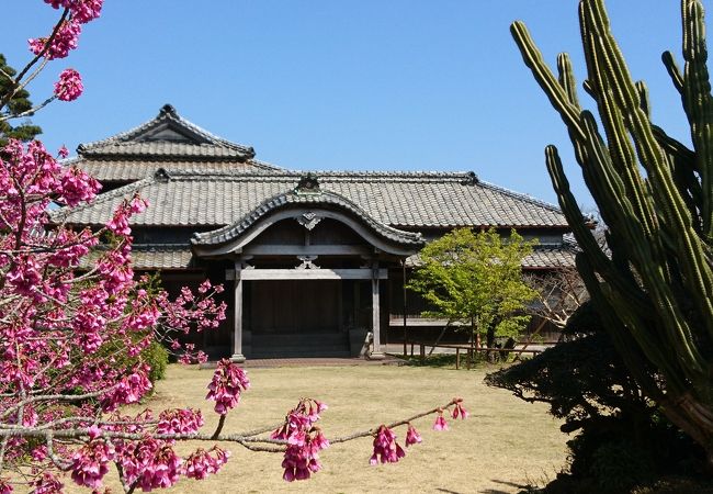 建物も素晴らしかったが、門前の塀がなんとも感動