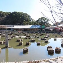 菖蒲池内にあります