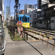 カメラマンにも人気の路面電車