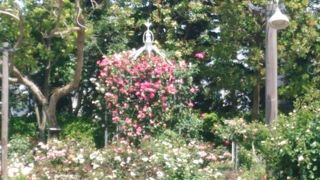 良かったです。