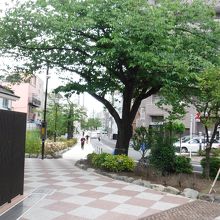 吉原へ By 緑のポスト 山谷堀公園のクチコミ フォートラベル