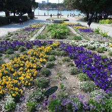 花が多い公園だ