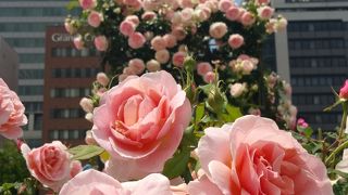 むちゃくちゃ綺麗です